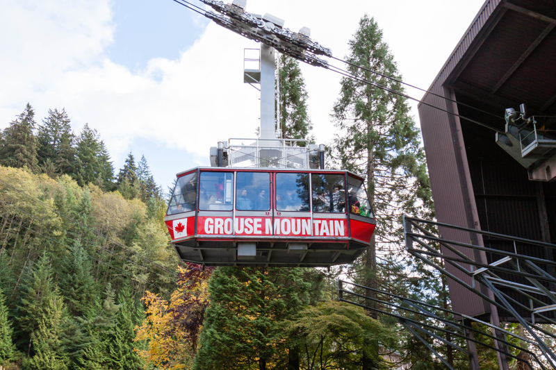 Illustration for article titled Pics from the (Mountain)side: 2016-10-10 at Grouse Mountain